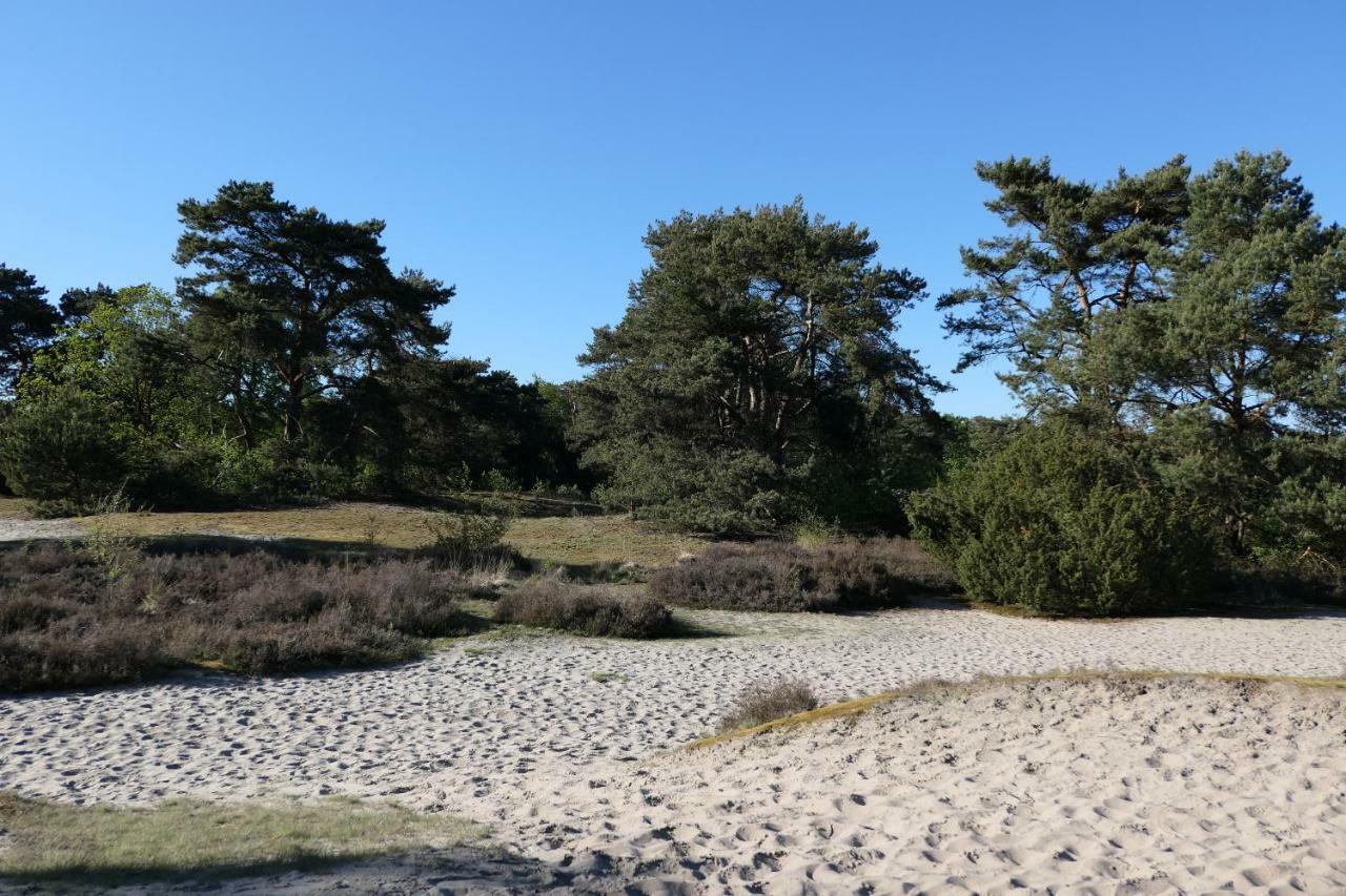 Villa Erve Eshuus Daarle Esterno foto