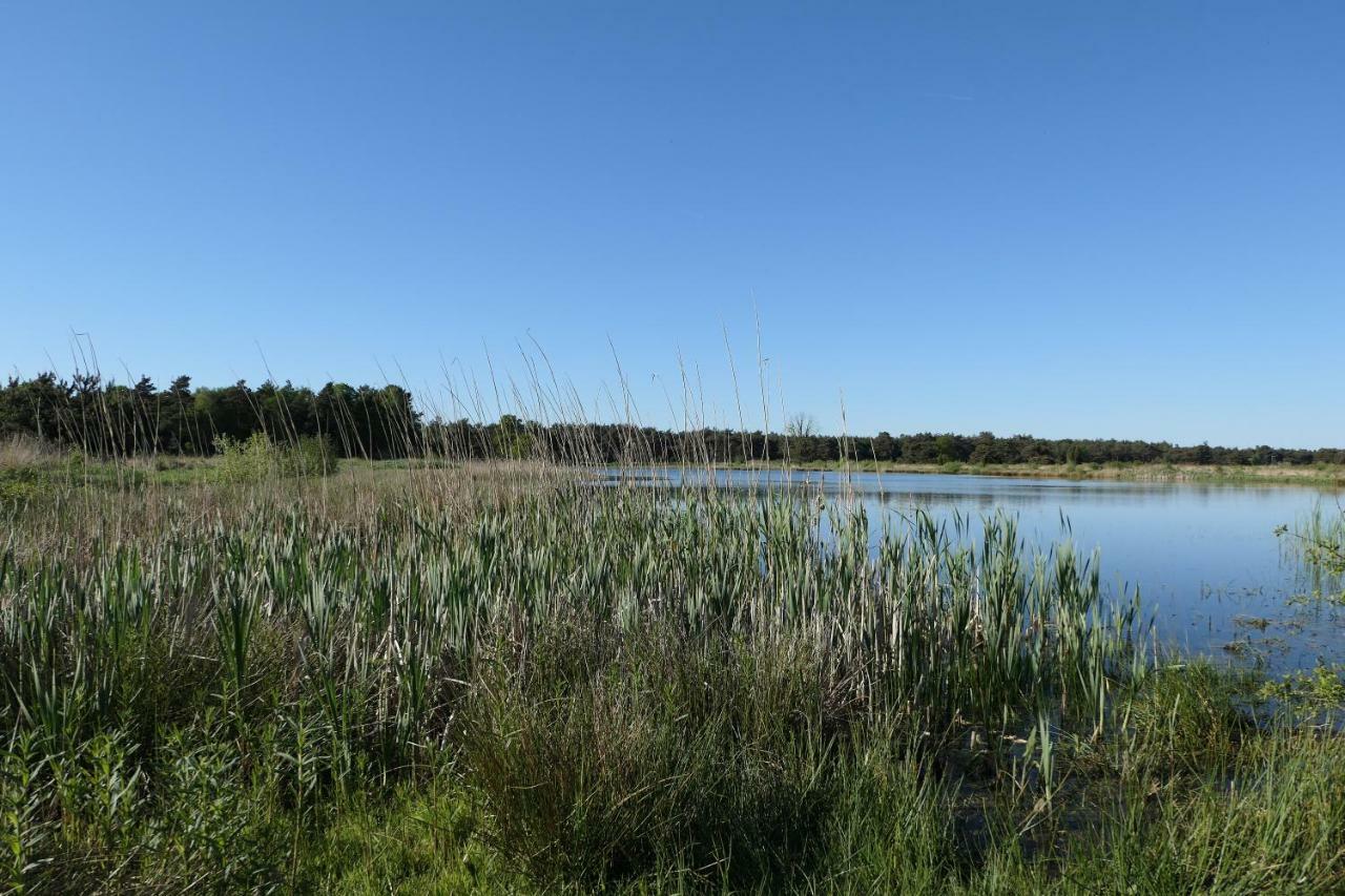 Villa Erve Eshuus Daarle Esterno foto